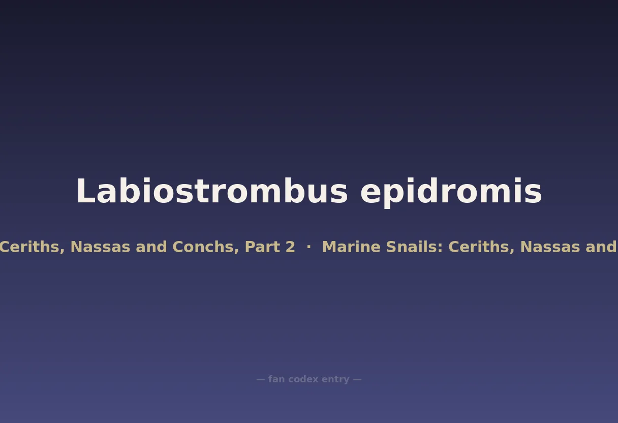 Labiostrombus epidromis