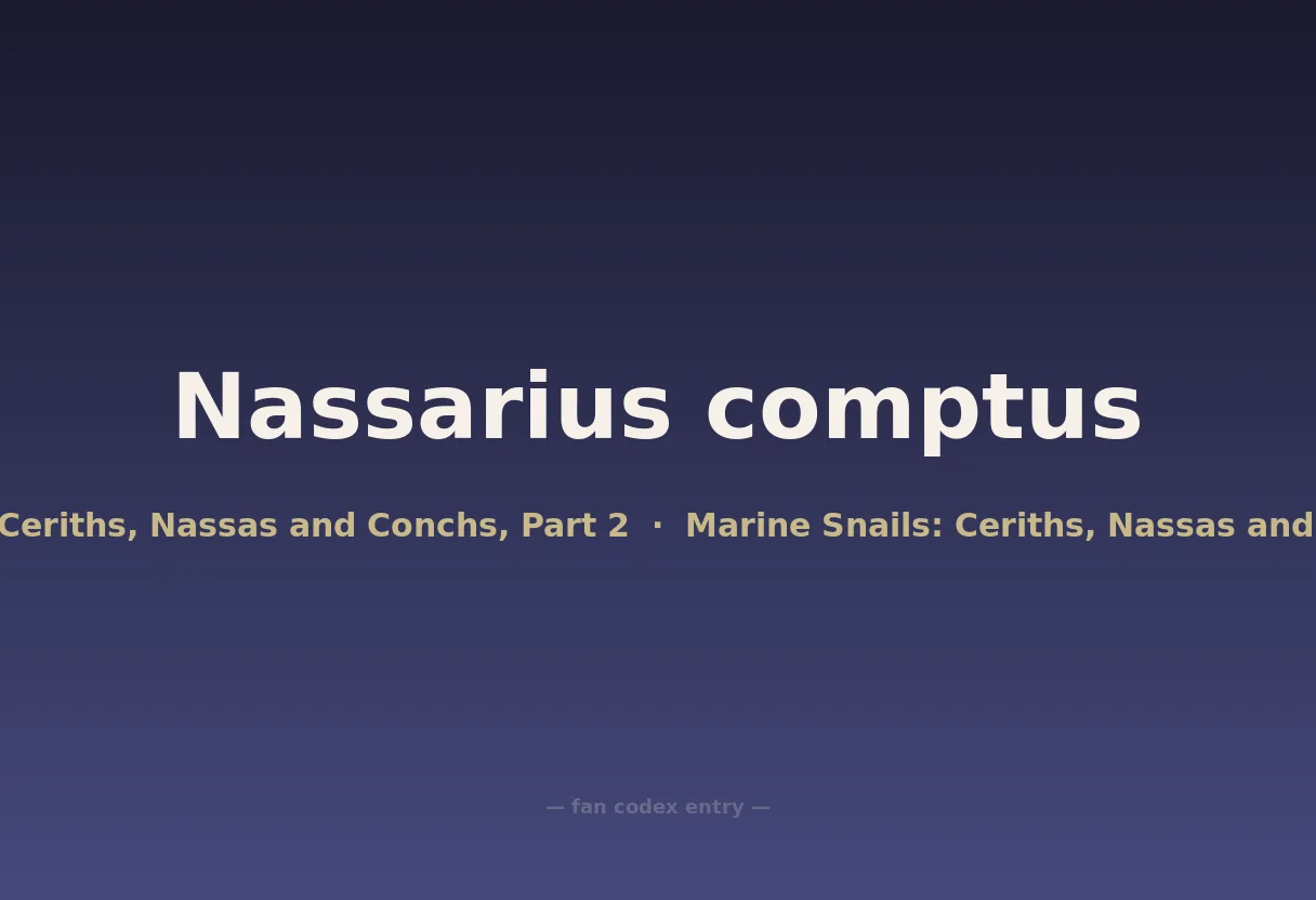 Nassarius comptus