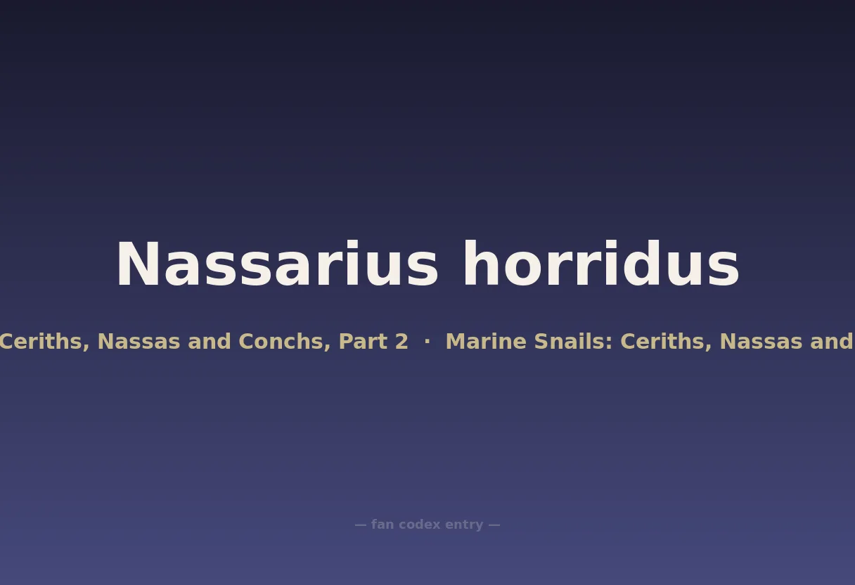 Nassarius horridus