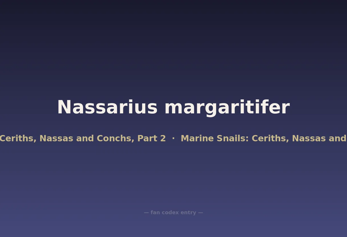 Nassarius margaritifer
