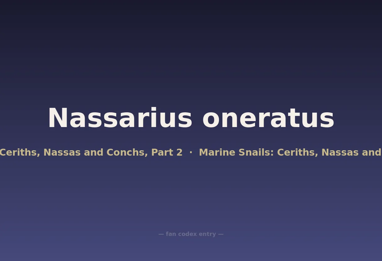 Nassarius oneratus