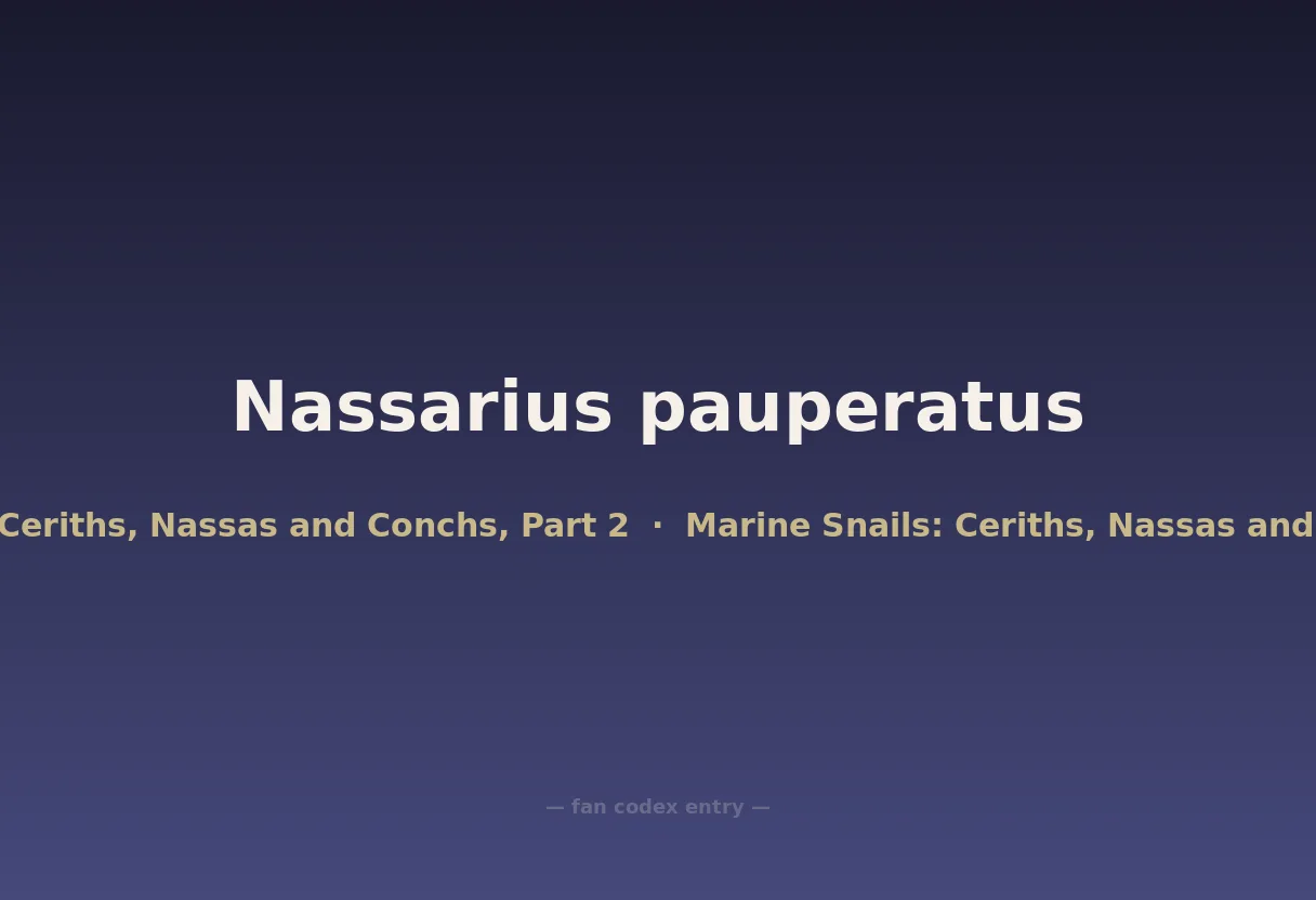 Nassarius pauperatus