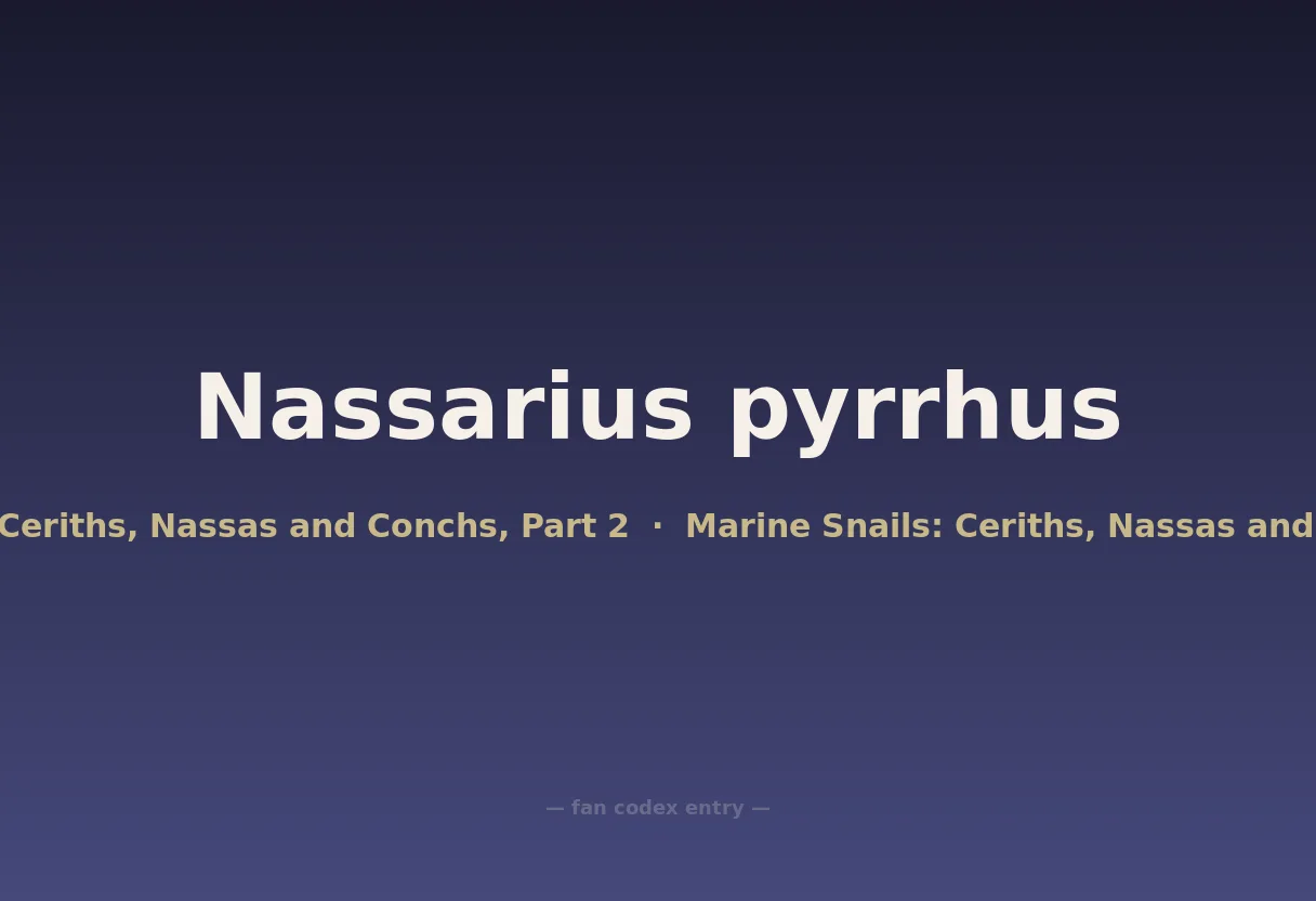 Nassarius pyrrhus