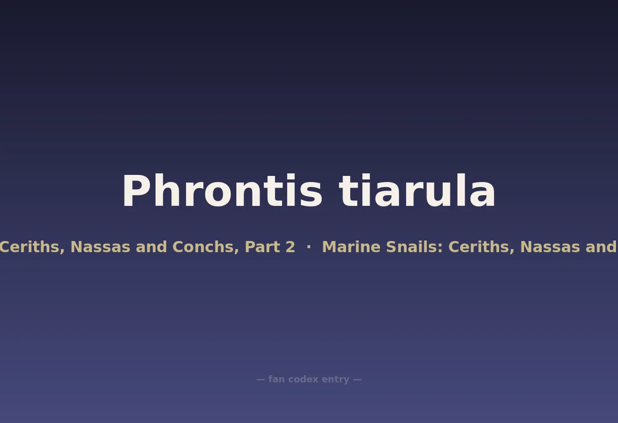 Phrontis tiarula