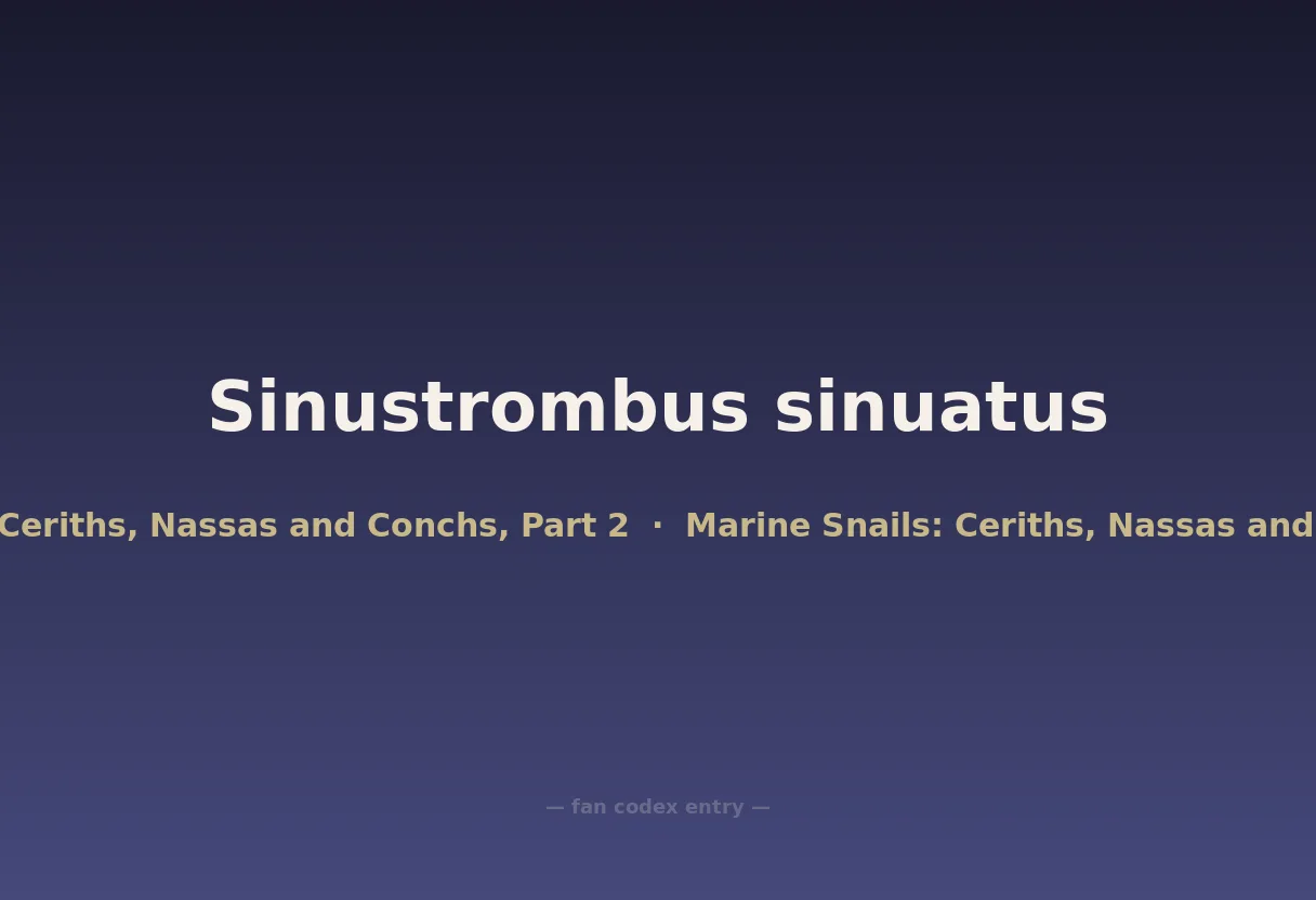 Sinustrombus sinuatus