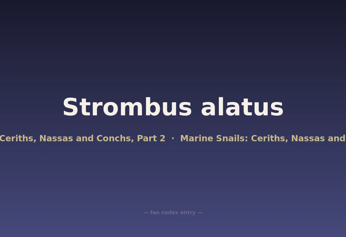 Strombus alatus