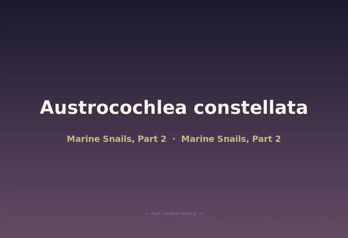 Austrocochlea constellata