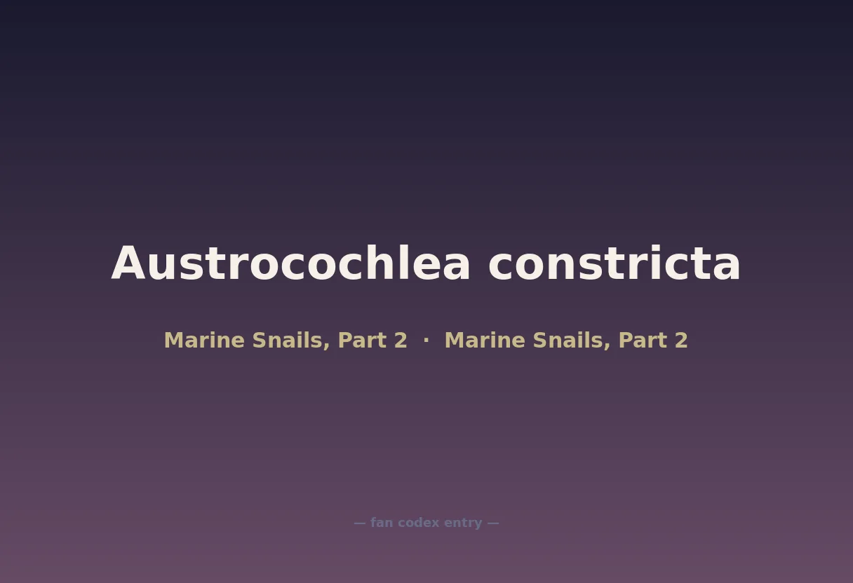 Austrocochlea constricta