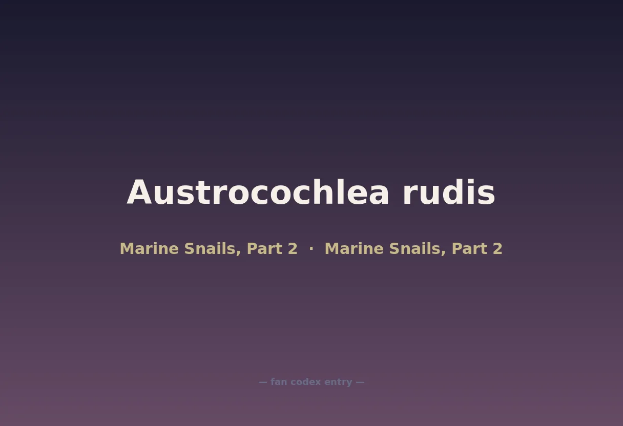 Austrocochlea rudis