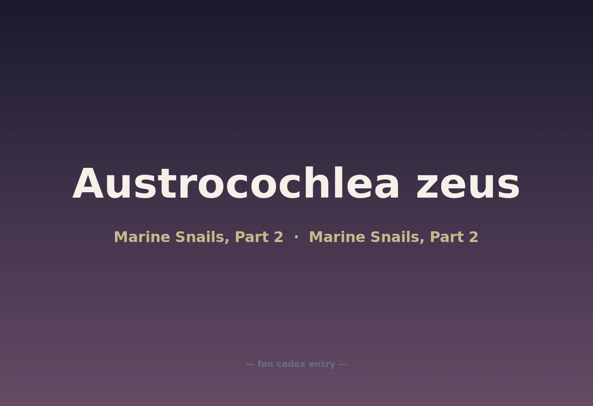 Austrocochlea zeus