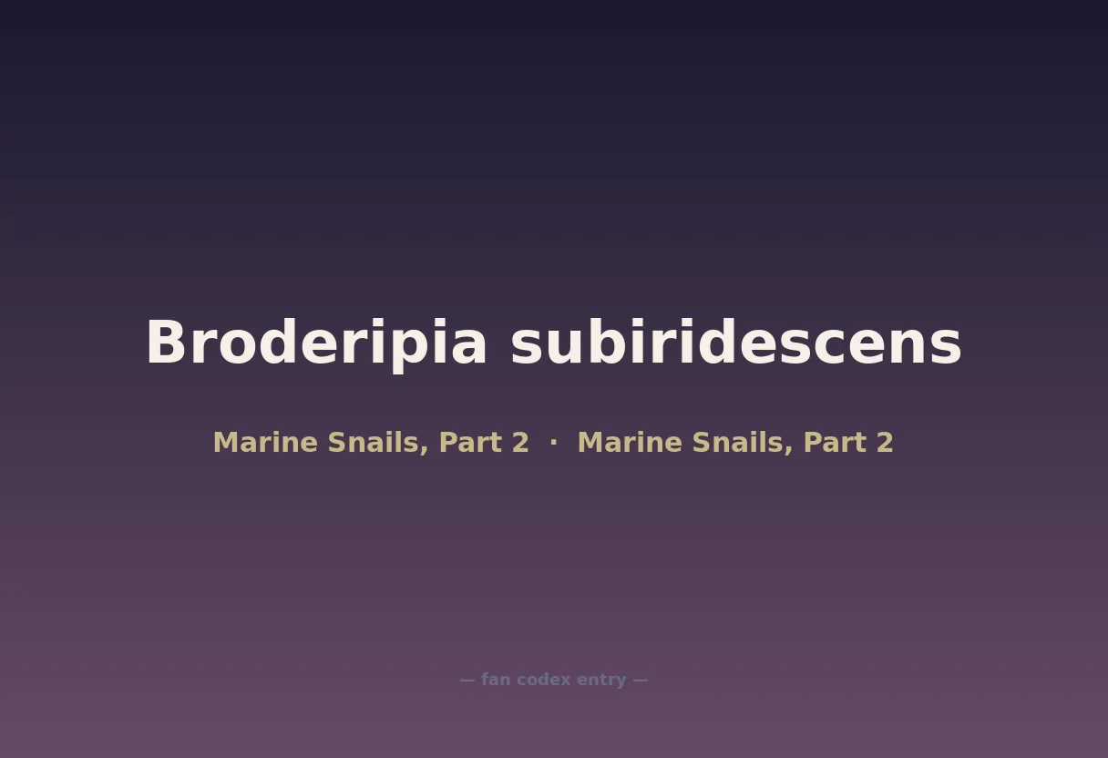 Broderipia subiridescens