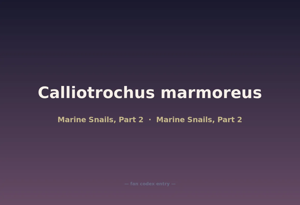Calliotrochus marmoreus