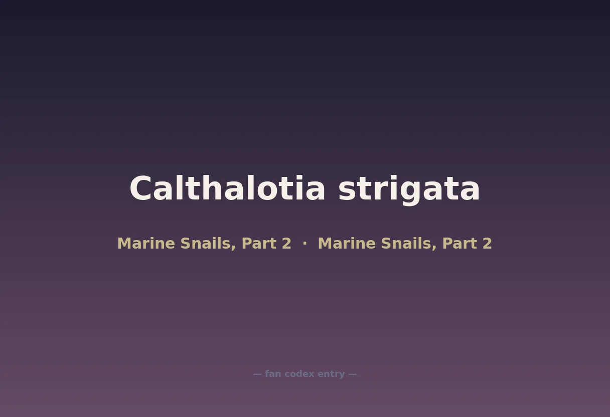 Calthalotia strigata