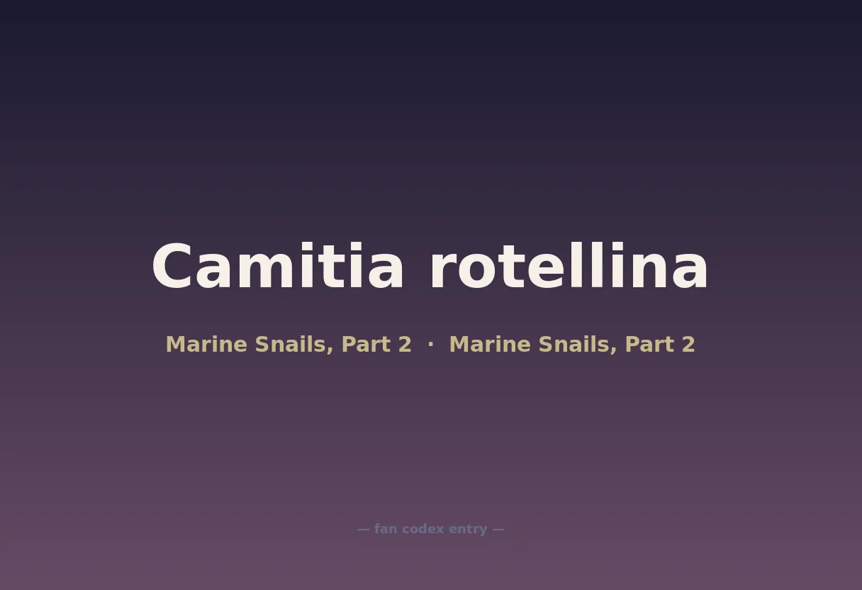 Camitia rotellina