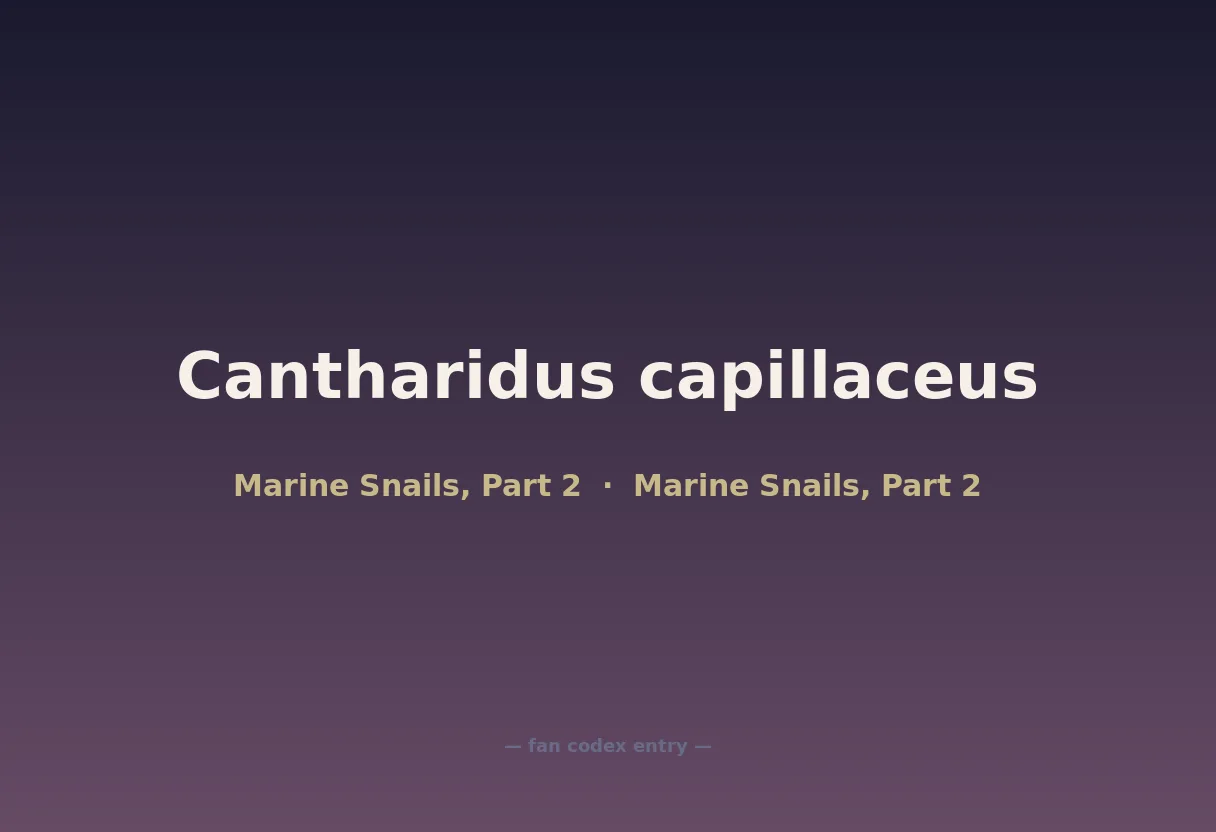 Cantharidus capillaceus