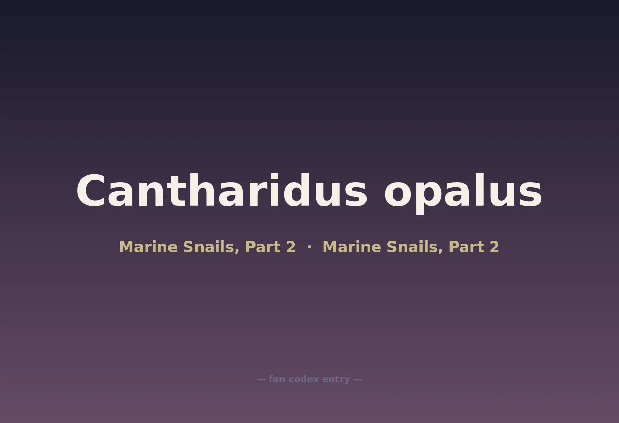 Cantharidus opalus