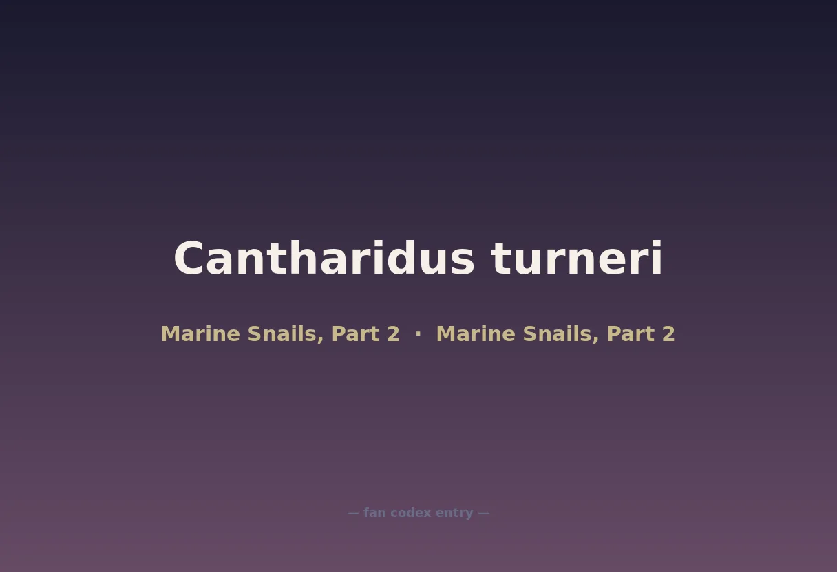 Cantharidus turneri