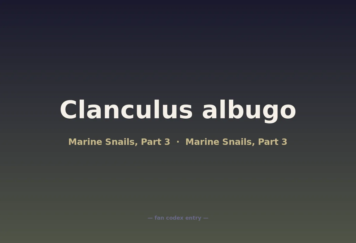 Clanculus albugo