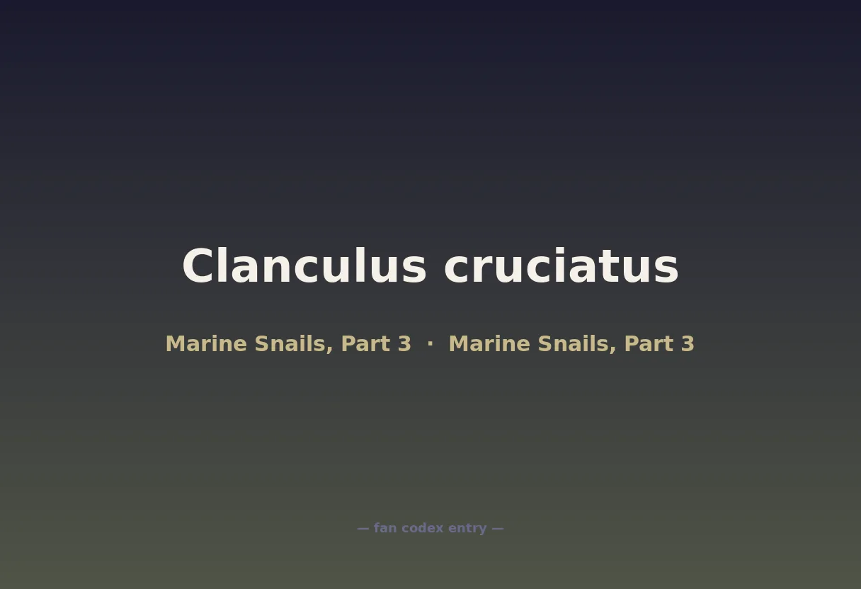 Clanculus cruciatus