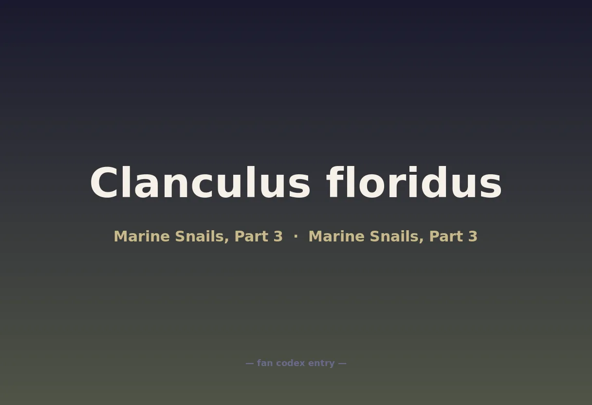 Clanculus floridus