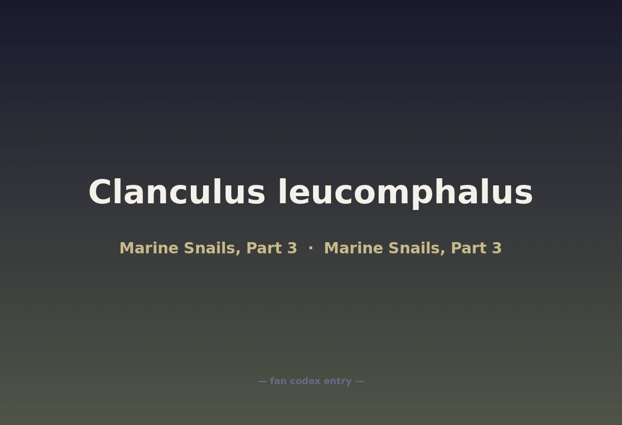 Clanculus leucomphalus