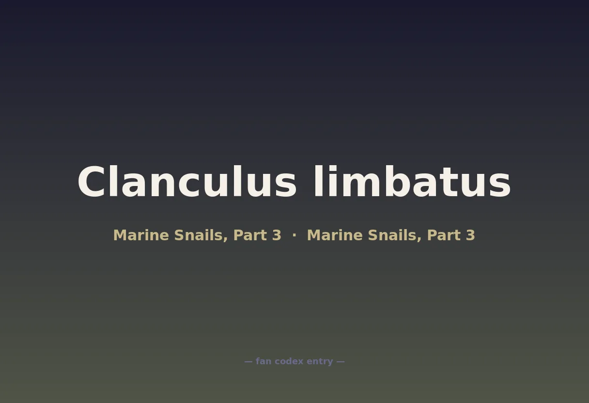 Clanculus limbatus
