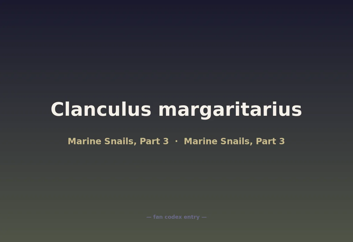 Clanculus margaritarius