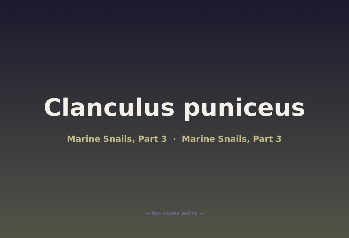 Clanculus puniceus