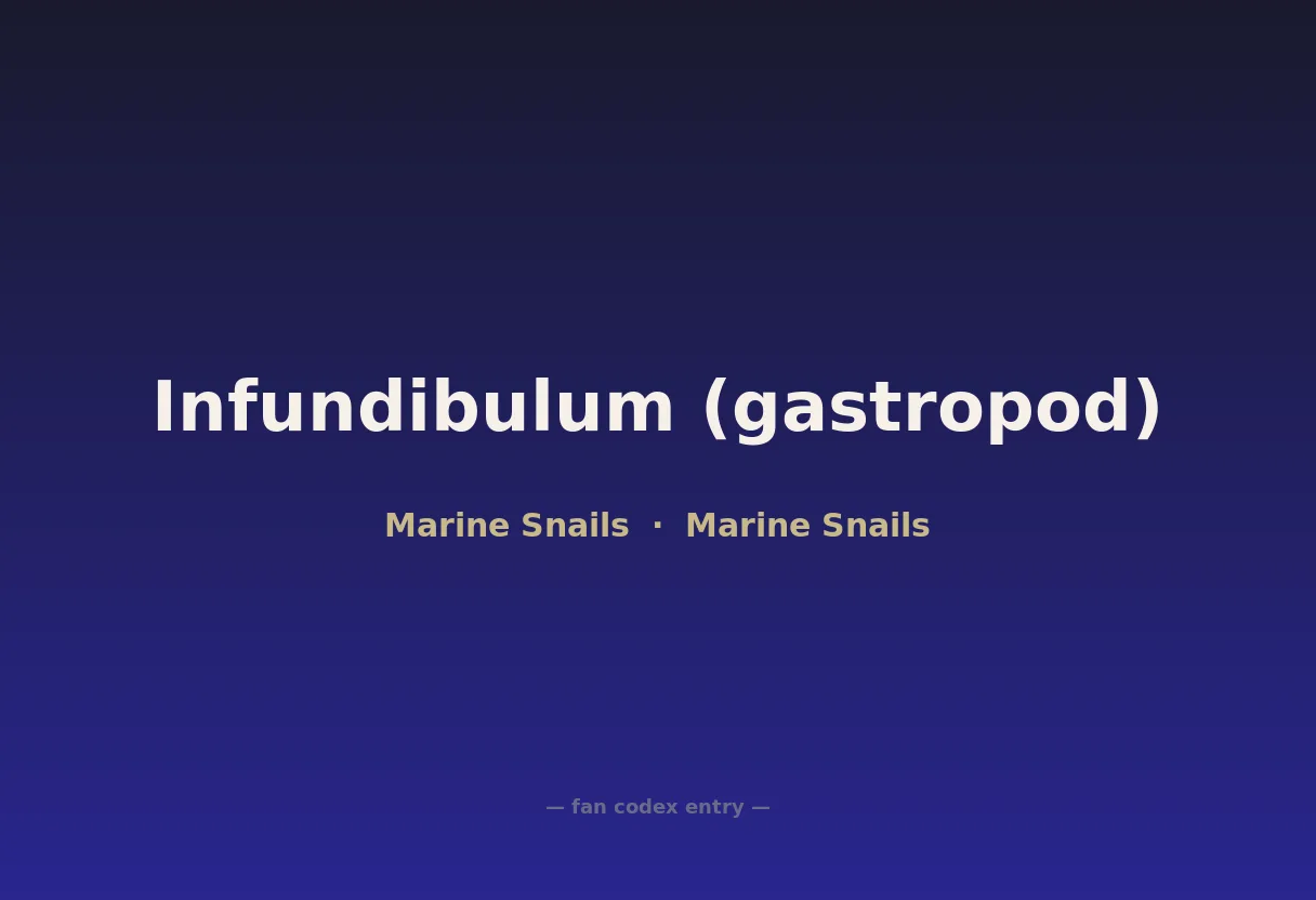 Infundibulum (gastropod)