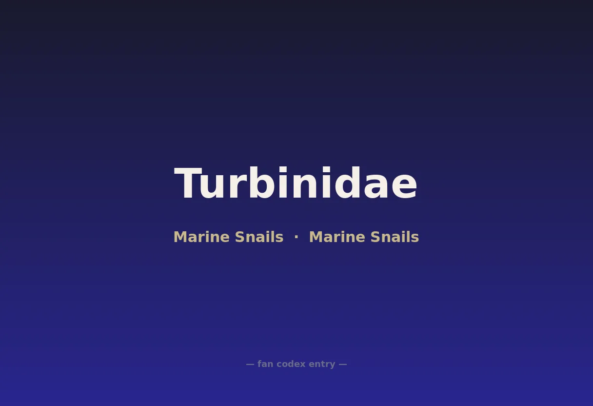 Turbinidae