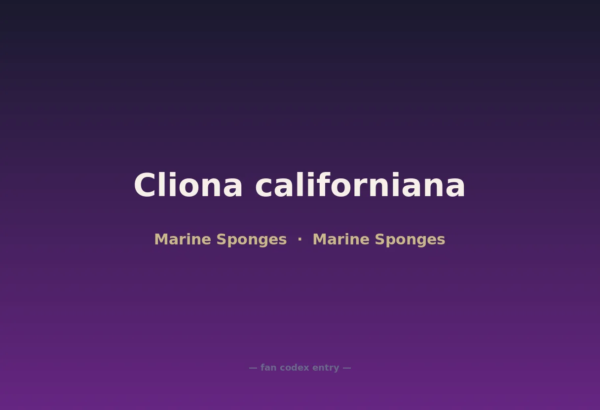 Cliona californiana