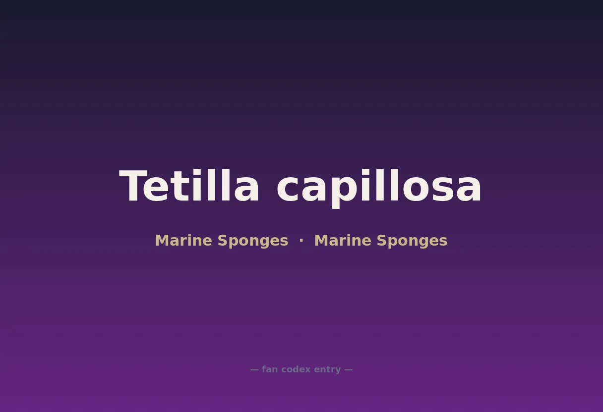 Tetilla capillosa