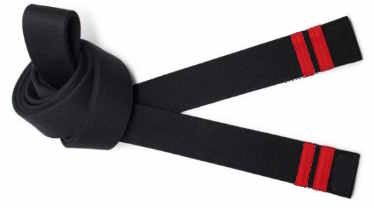 American Kenpo Karate