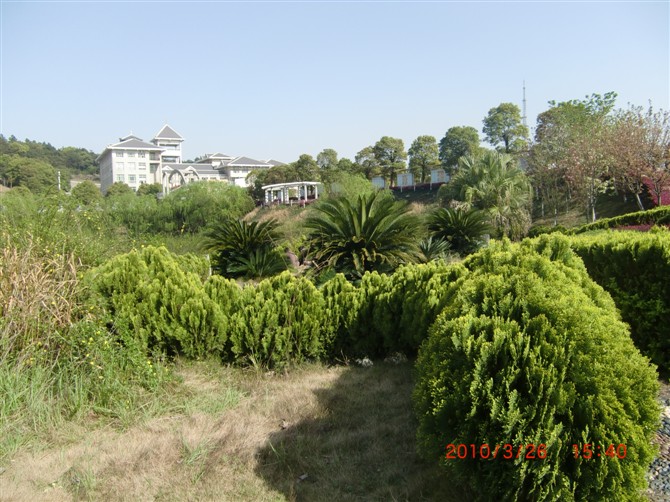 Hunan Mass Media Vocational Technical college