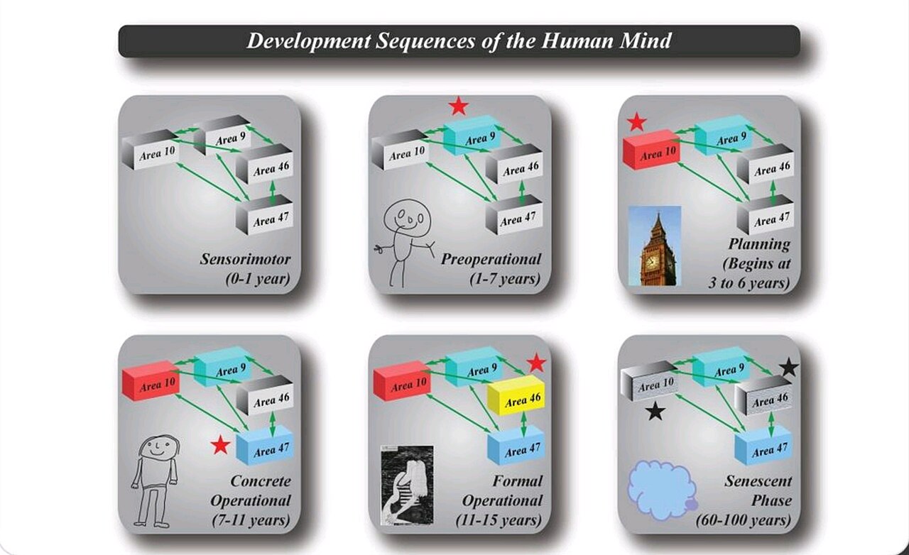 Development Sequences of the Human Mind