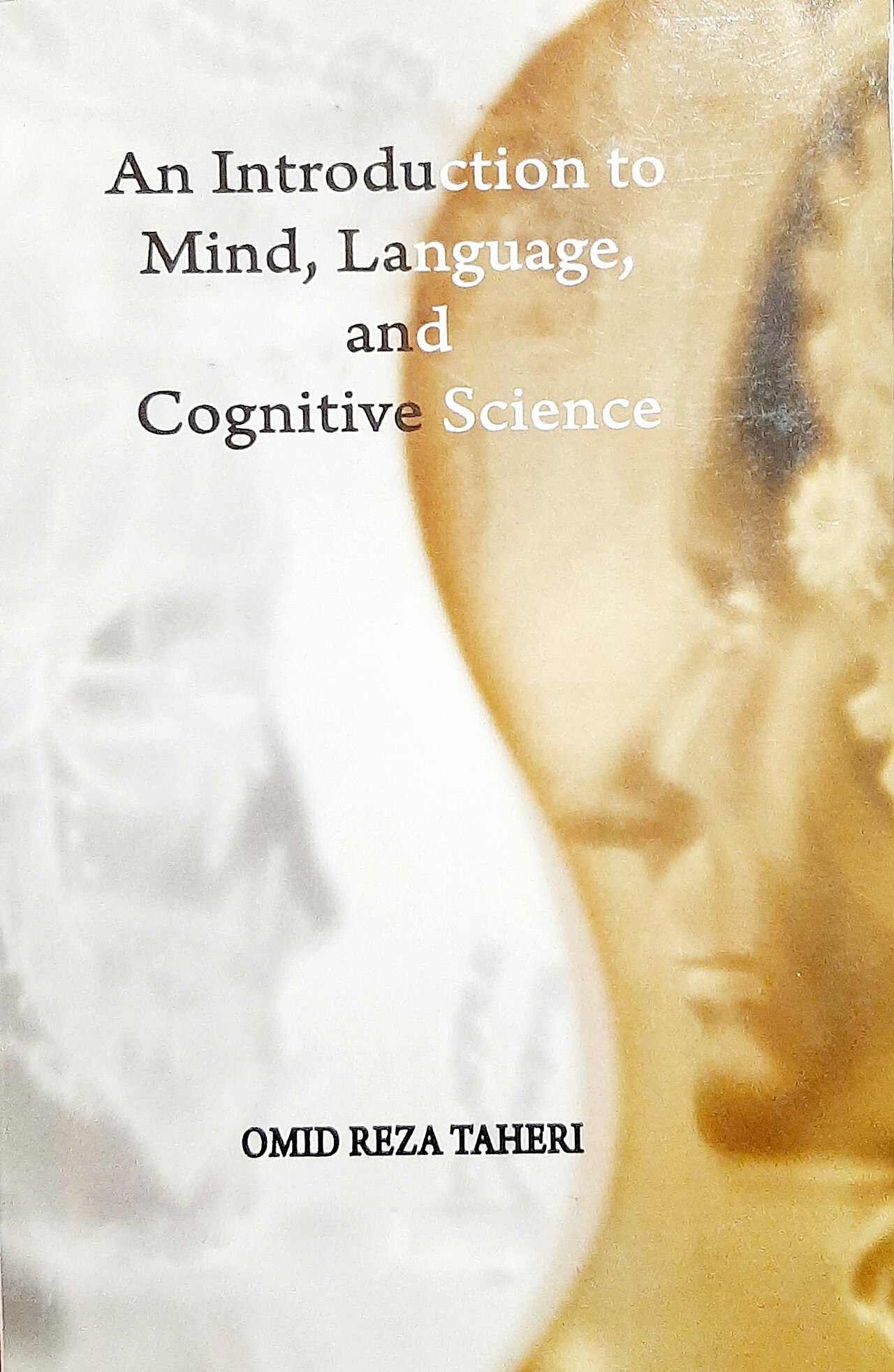 An Introduction to Mind, Language and Cognitive Science