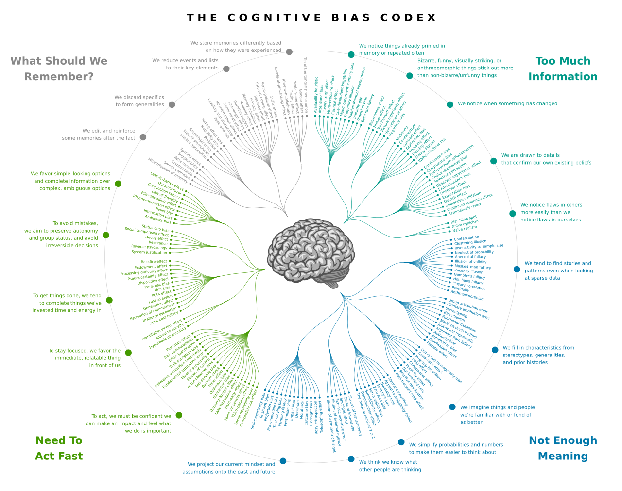 Cognitive development