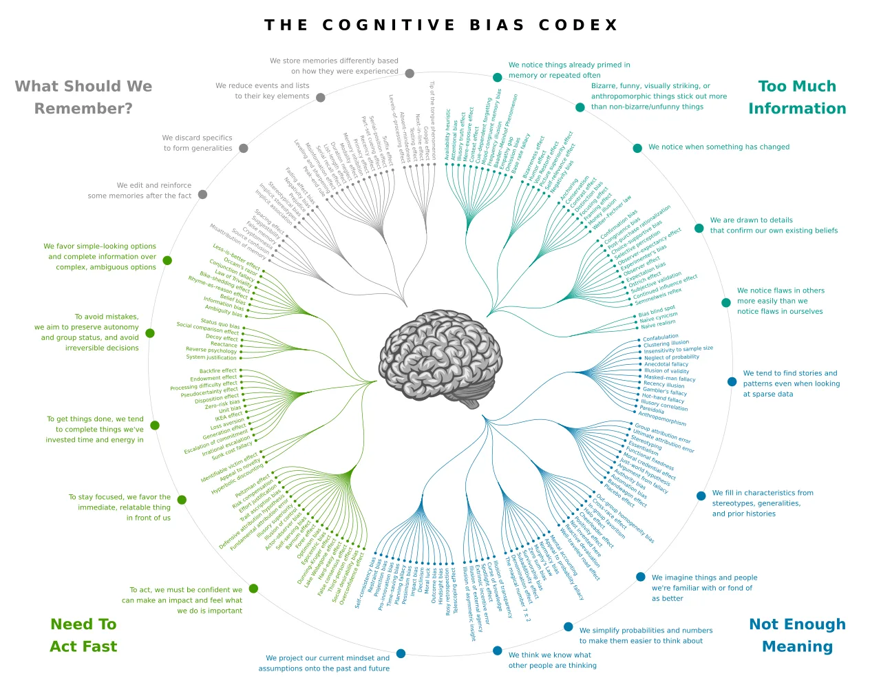 Cognitive development