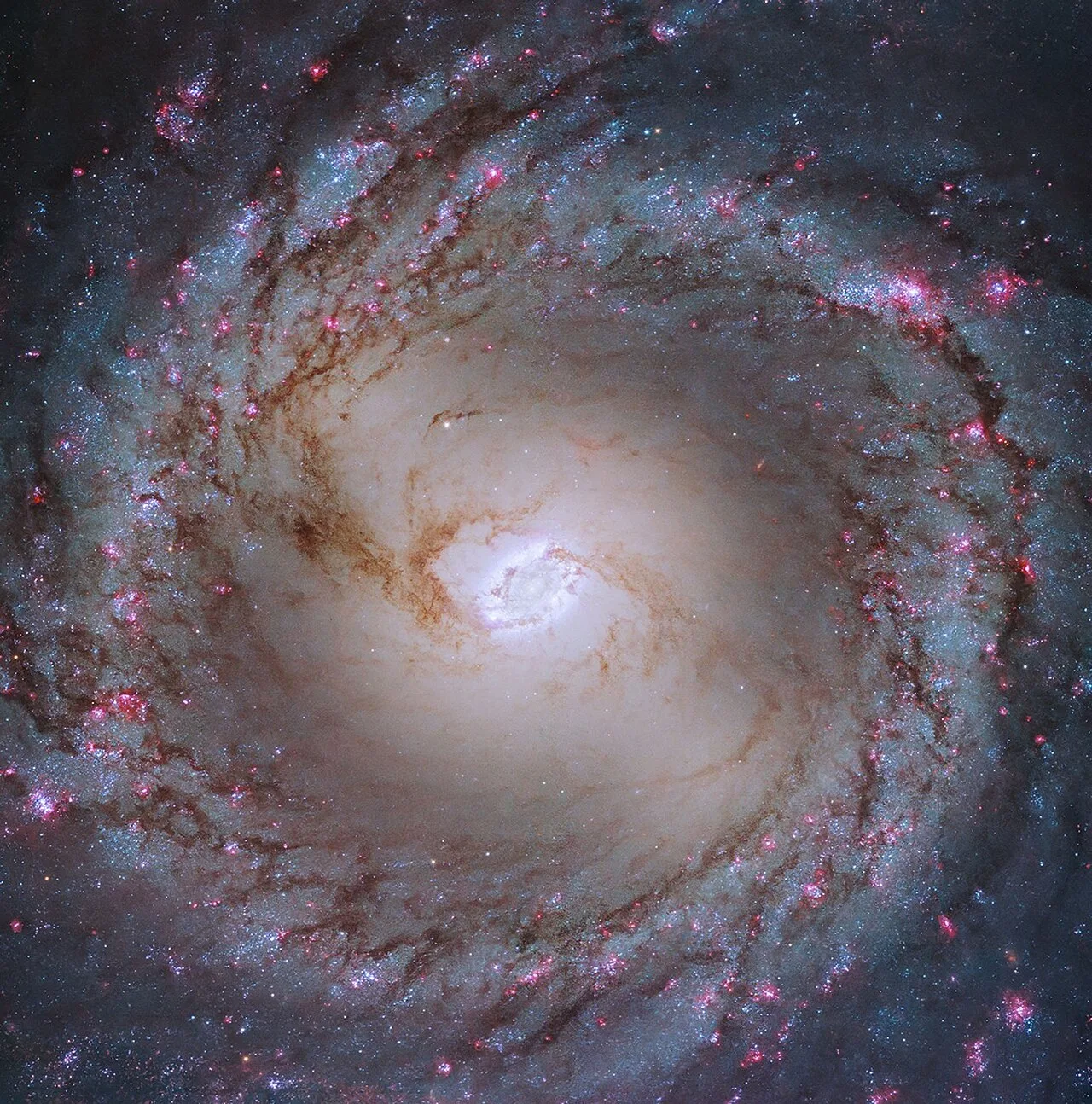 Messier 95