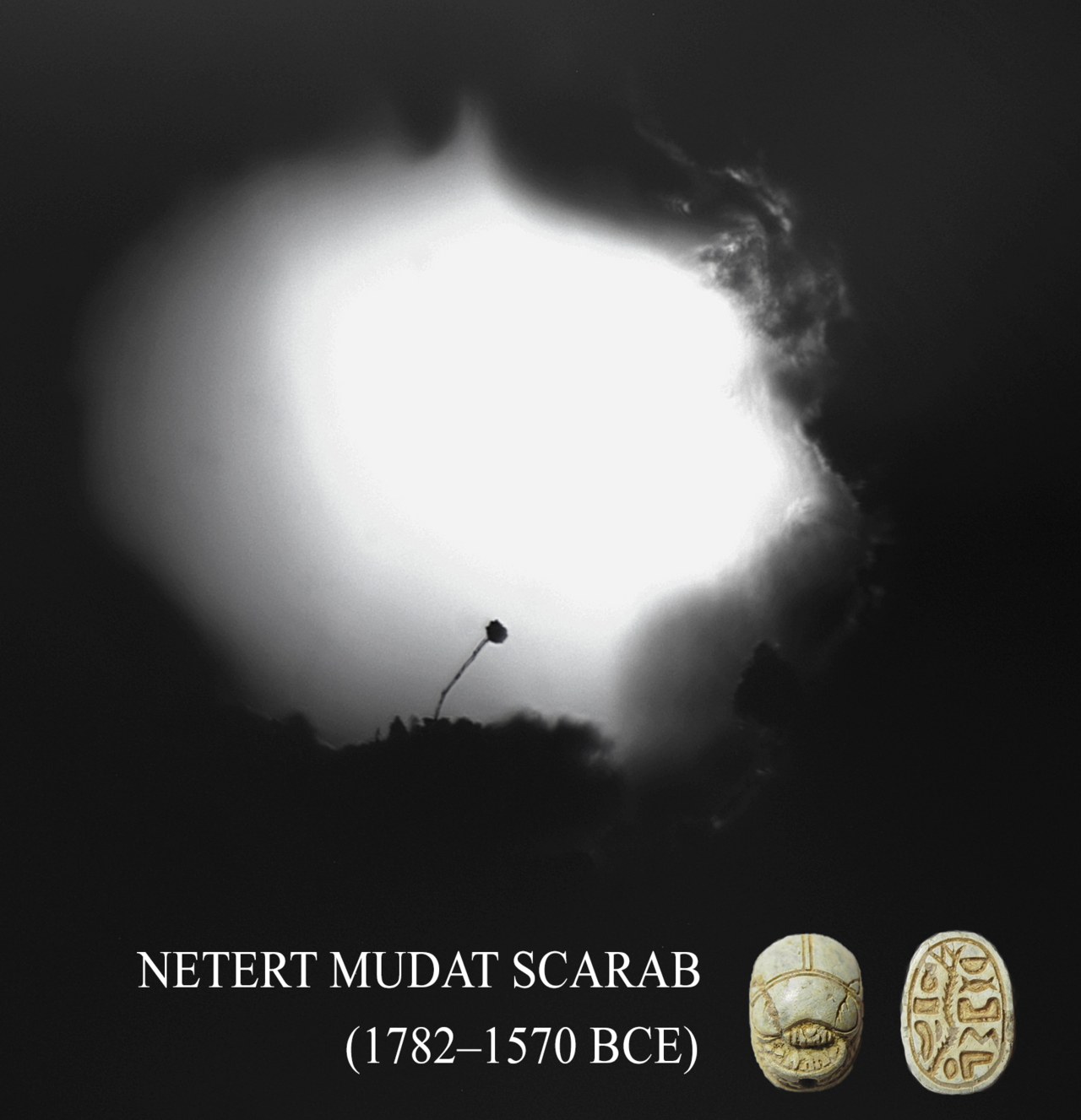 Egyptian Netert Mudat Scarab Aspergillus Spore