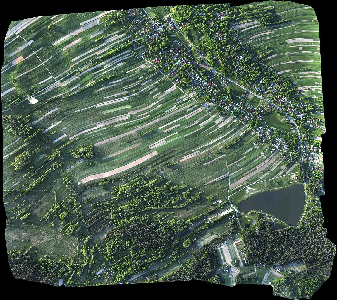 Pteryx UAV