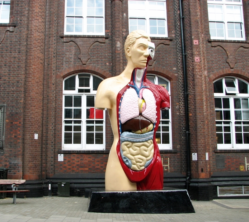 'Hymn' by Damien Hirst - geograph.org.uk