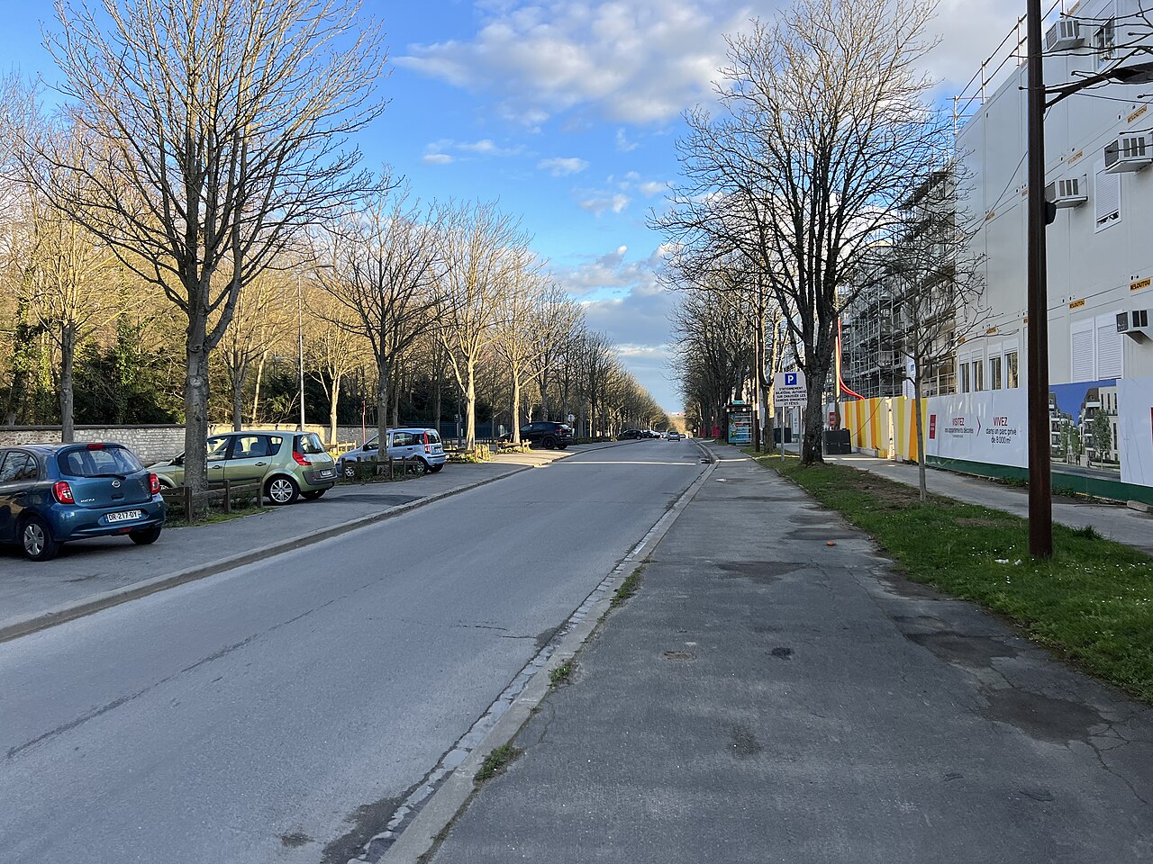 Avenue Sully Prudhomme - Châtenay-Malabry (FR92) - 2023-03-19 - 3