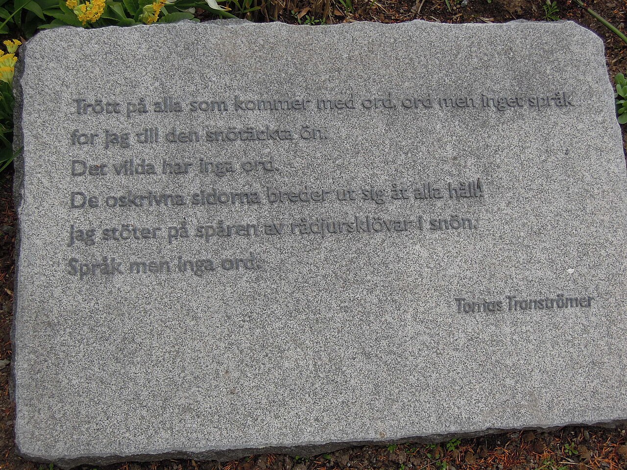 Dikt Tomas Tranströmer Bibl Västerås