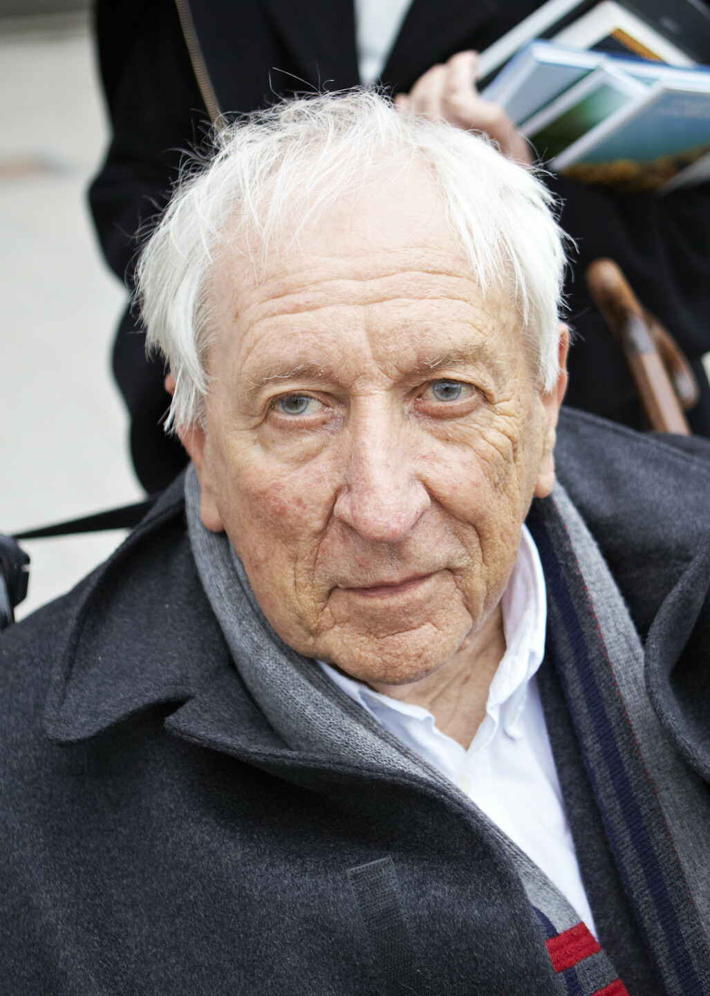 Tomas Tranströmer 2012-05-04 001 (cropped)