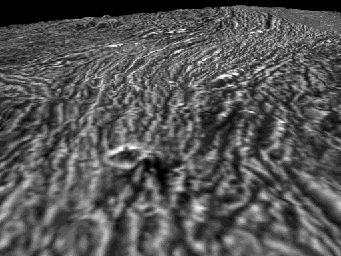 Arbela Sulcus