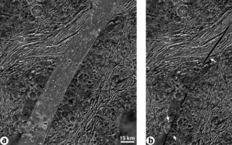 Arbela Sulcus