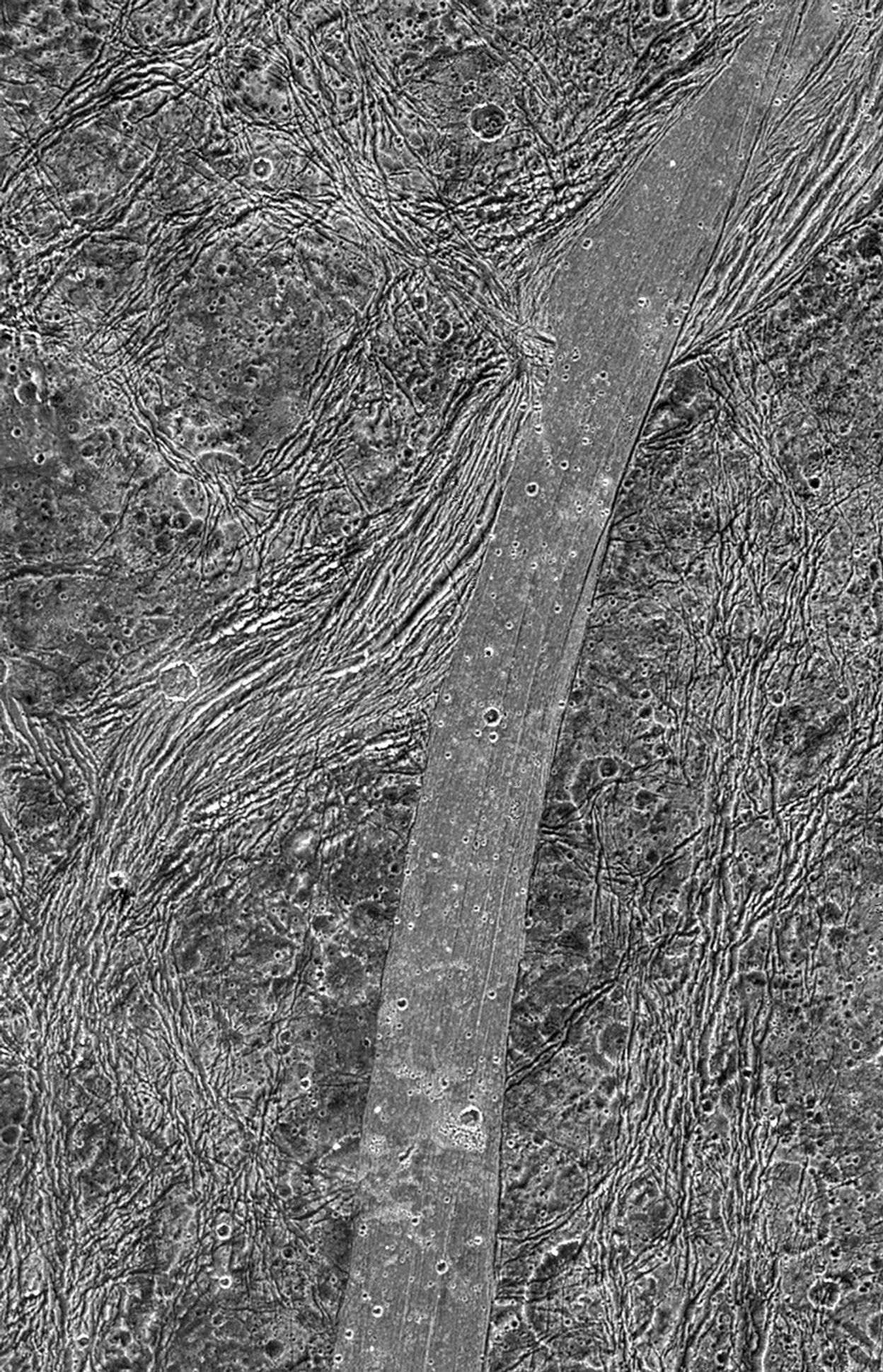 Arbela Sulcus