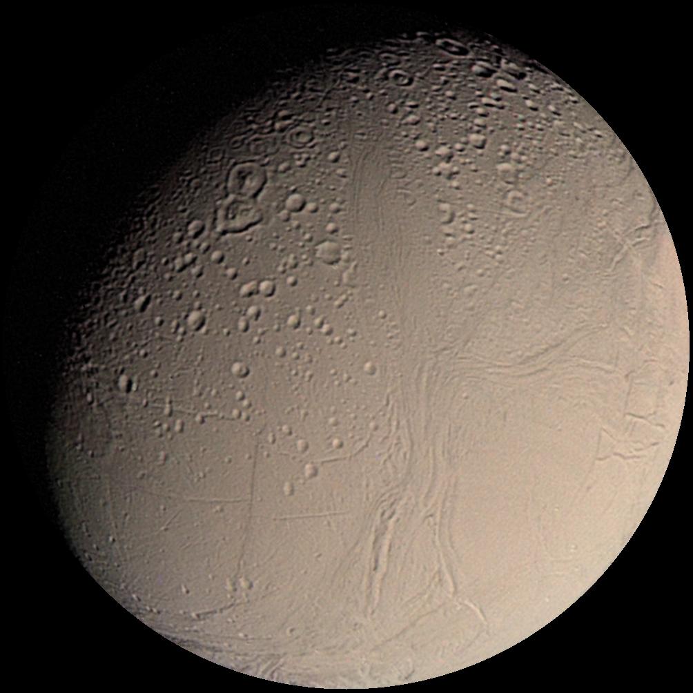 Enceladus Life Finder