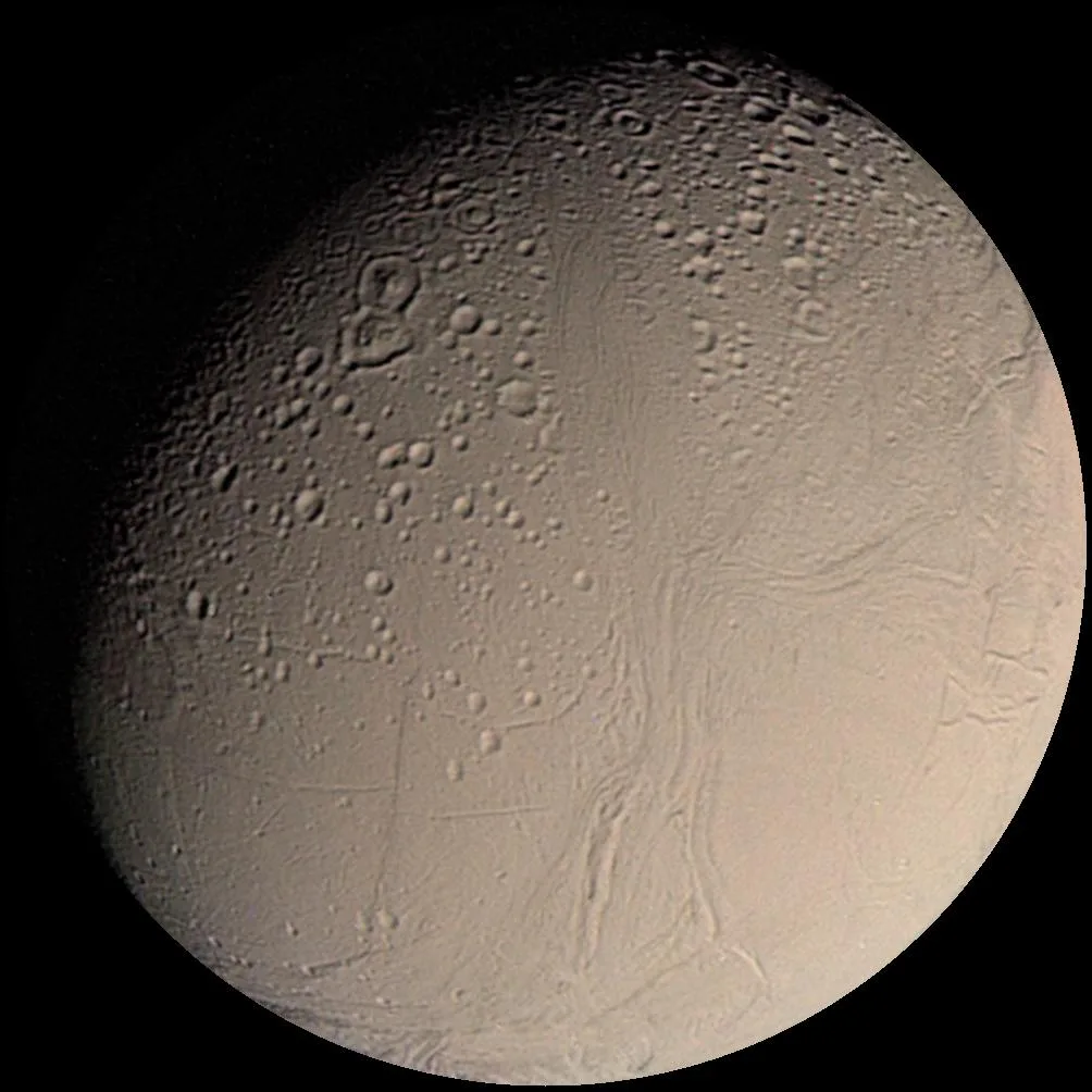 Enceladus Life Finder